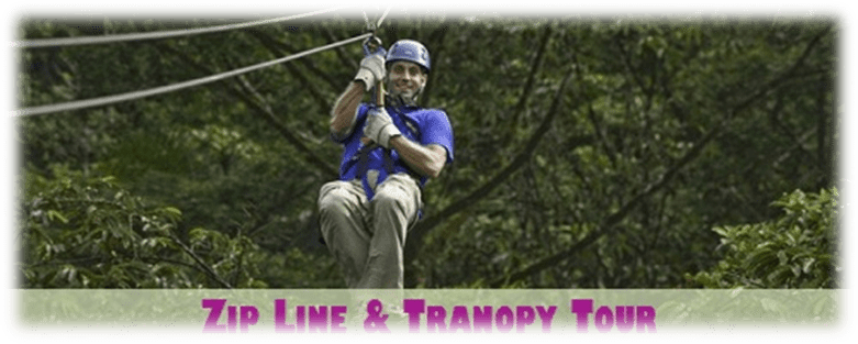 Tranopy: Aerial Tram + Zip Line
